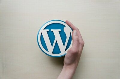 Wordpress + SEO (50h)
