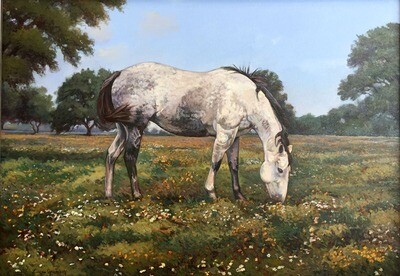 Texas Trails Gallery - Featured Artists