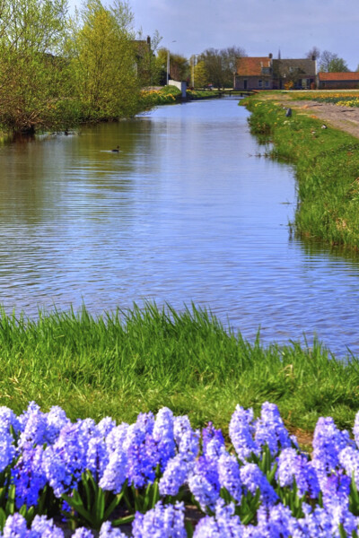 L&#39;eau des fleurs
