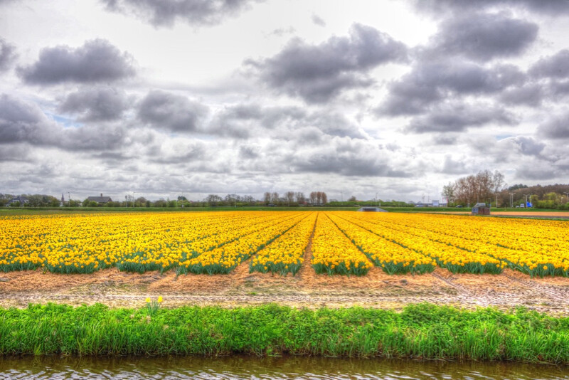 La péril jaune