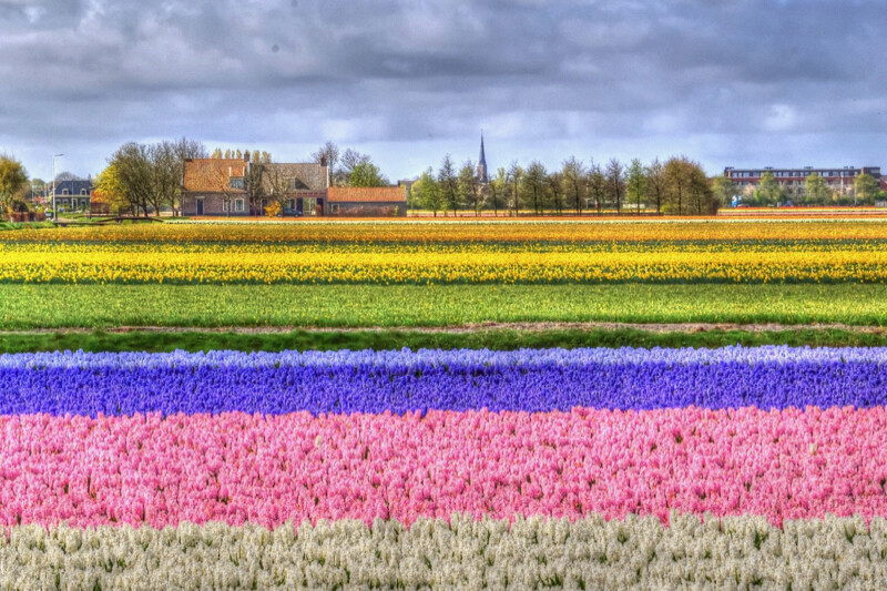 Le clocher à fleurs