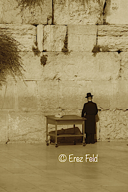 The Wall ( Sepia )