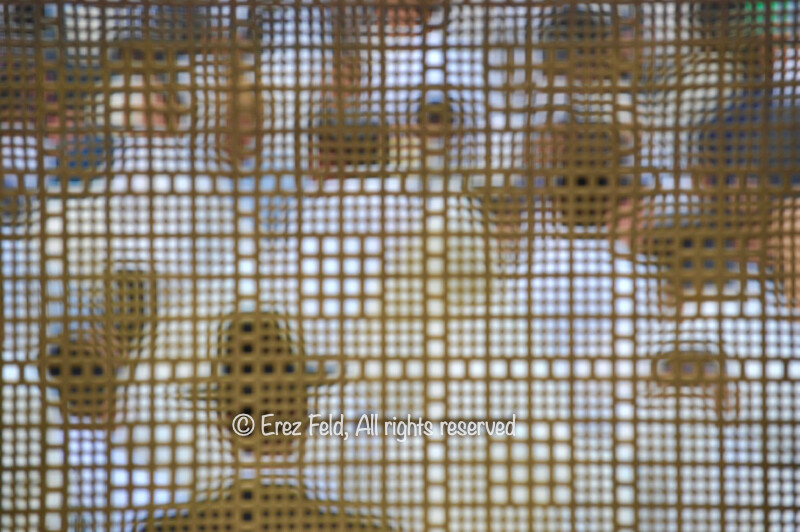 The Wall - Abstract 01