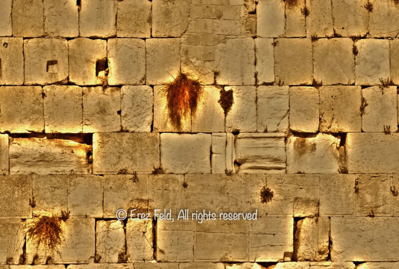The Wall - Abstract 10