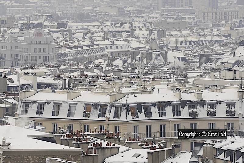 Roofs - Large vue