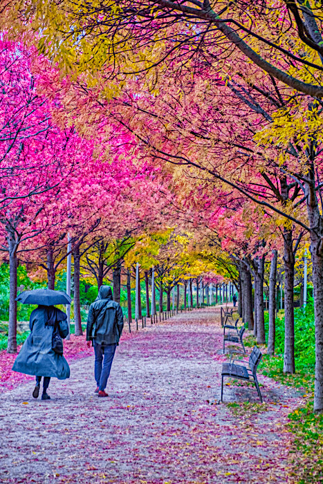 Ils n'étaient pas seuls Ils n'étaient pas seuls