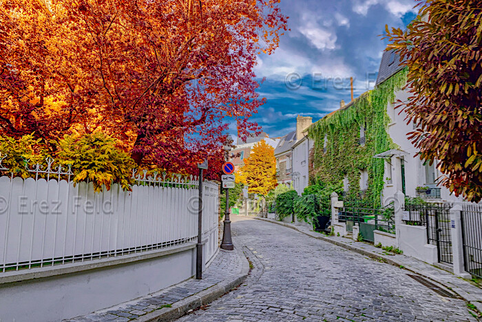 La campagne à Paris 03