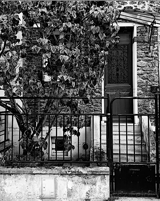 La campagne à Paris 07
