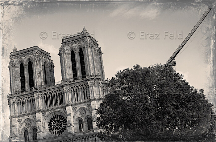 Notre Dame peine à se redresser