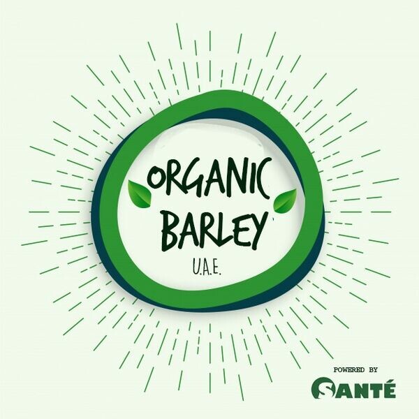 Organic Barley UAE