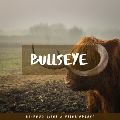 Bullseye (DJ/Prod. Luigi x Pilgrim Beats)