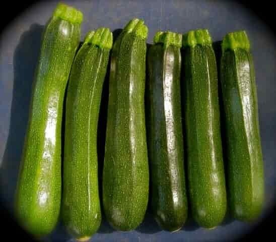Squash Zucchini - Quart Squash Zucchini - Quart