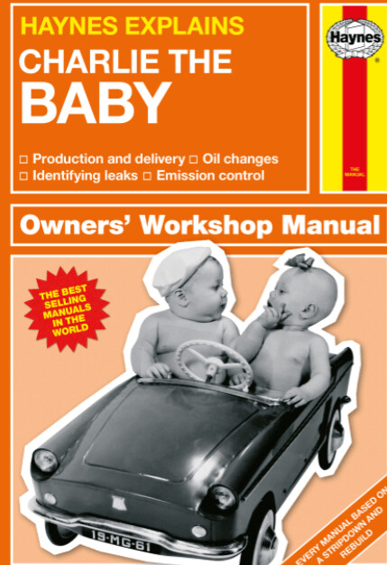 Personalised Haynes Explains Babies