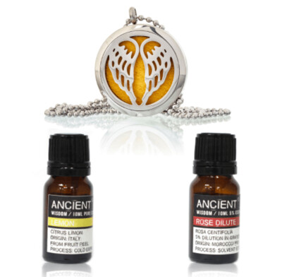 Diffuser Necklace and Essential Oils Set