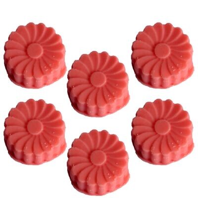 36x Natural Soy Wax Melts -Watermelon Fresh