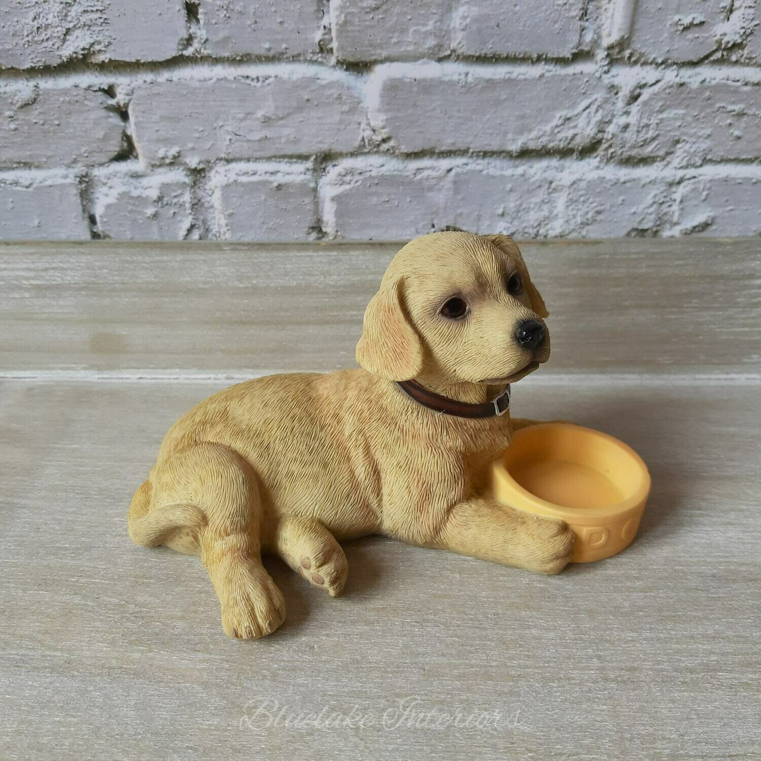 Yellow Labrador Puppy Laying With Food Bowl Gift Boxed