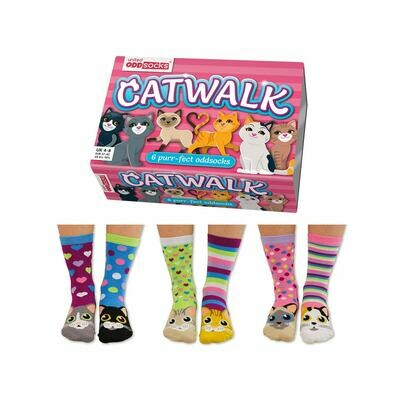 United Oddsocks Ladies Catwalk 6 Purrfect Odd Socks Gift Boxed