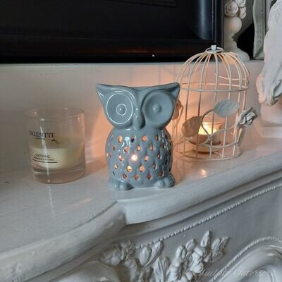 Grey Ceramic Owl Design Wax Melt & Oil Burner Home Fragrance