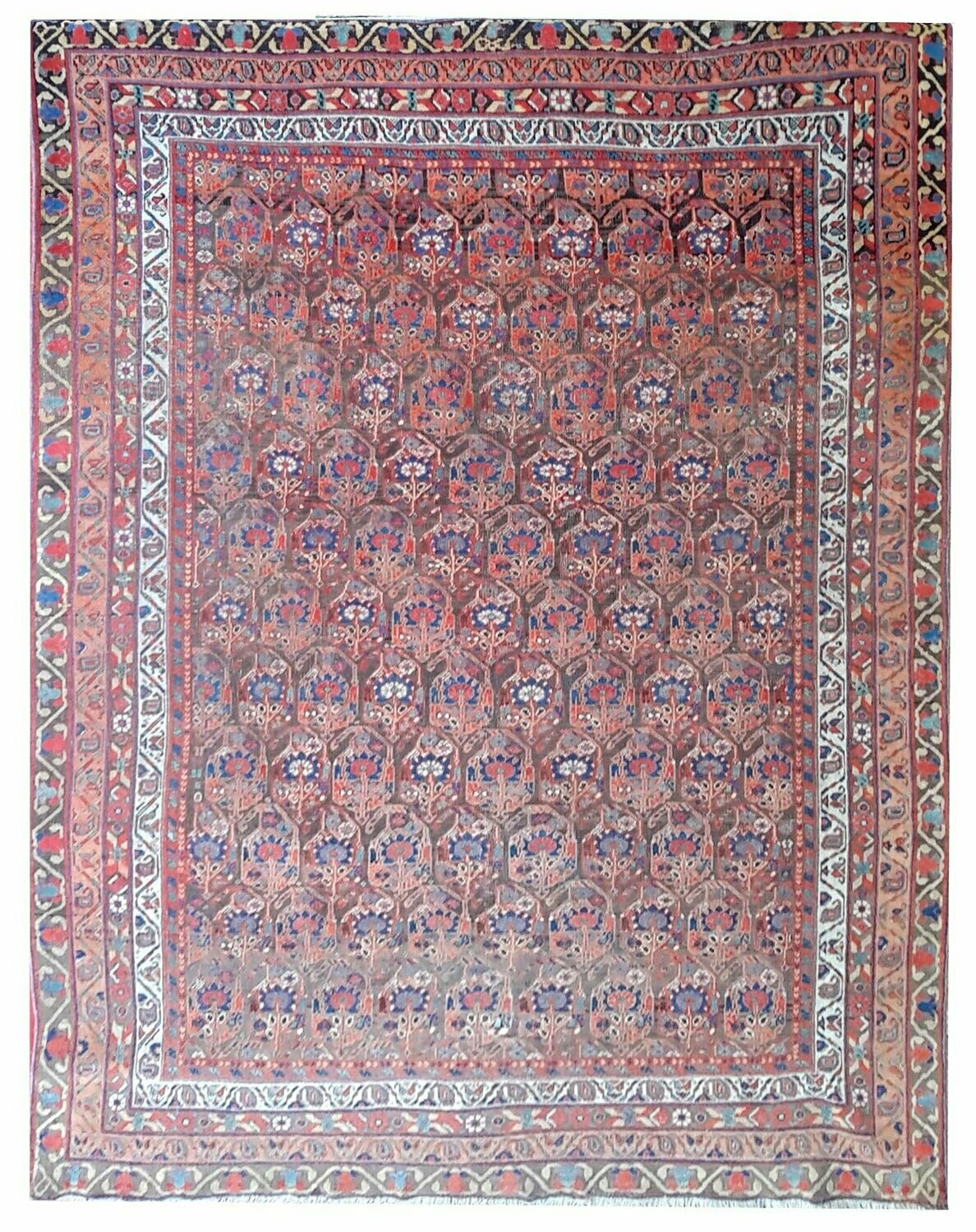 Tapis de Perse - Afshar