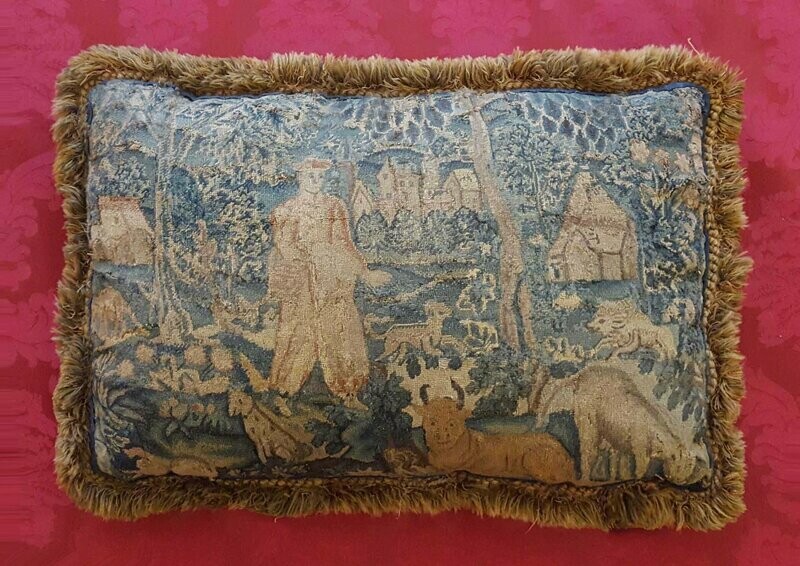 Pillow Tapestry -  at the small points