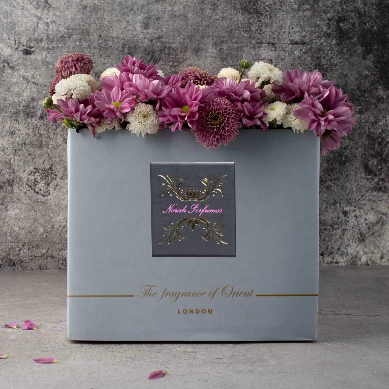 Yanis Creed Collection