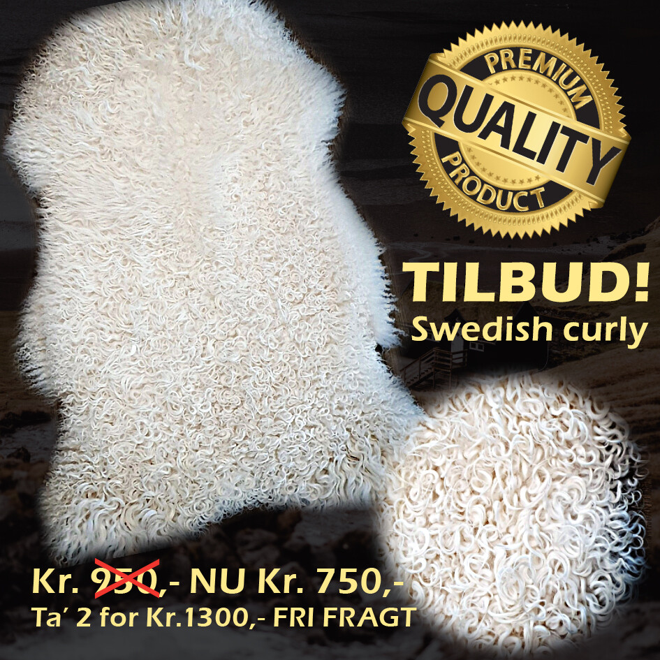 Svensk hvid curly touch, 100-120cm