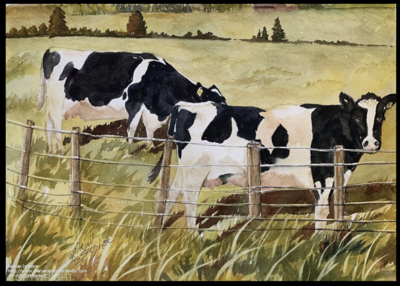 Black Cows Painting - Marian Sprecher