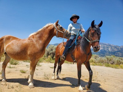 HHE3s - Pros/Equine Education Experts