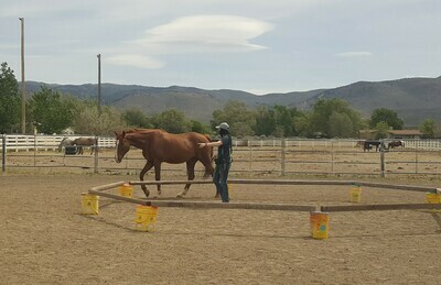 HHE2s - Non-Pros/Equine Enthusiasts