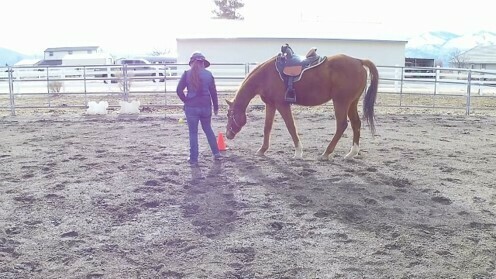 HHS 5: Science-Based Training Basics