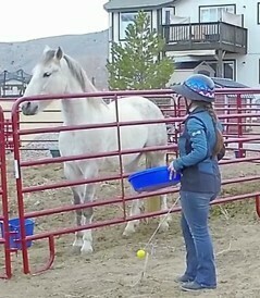 HHS 6: Using SBT Methods - Foundational and Husbandry Behaviors