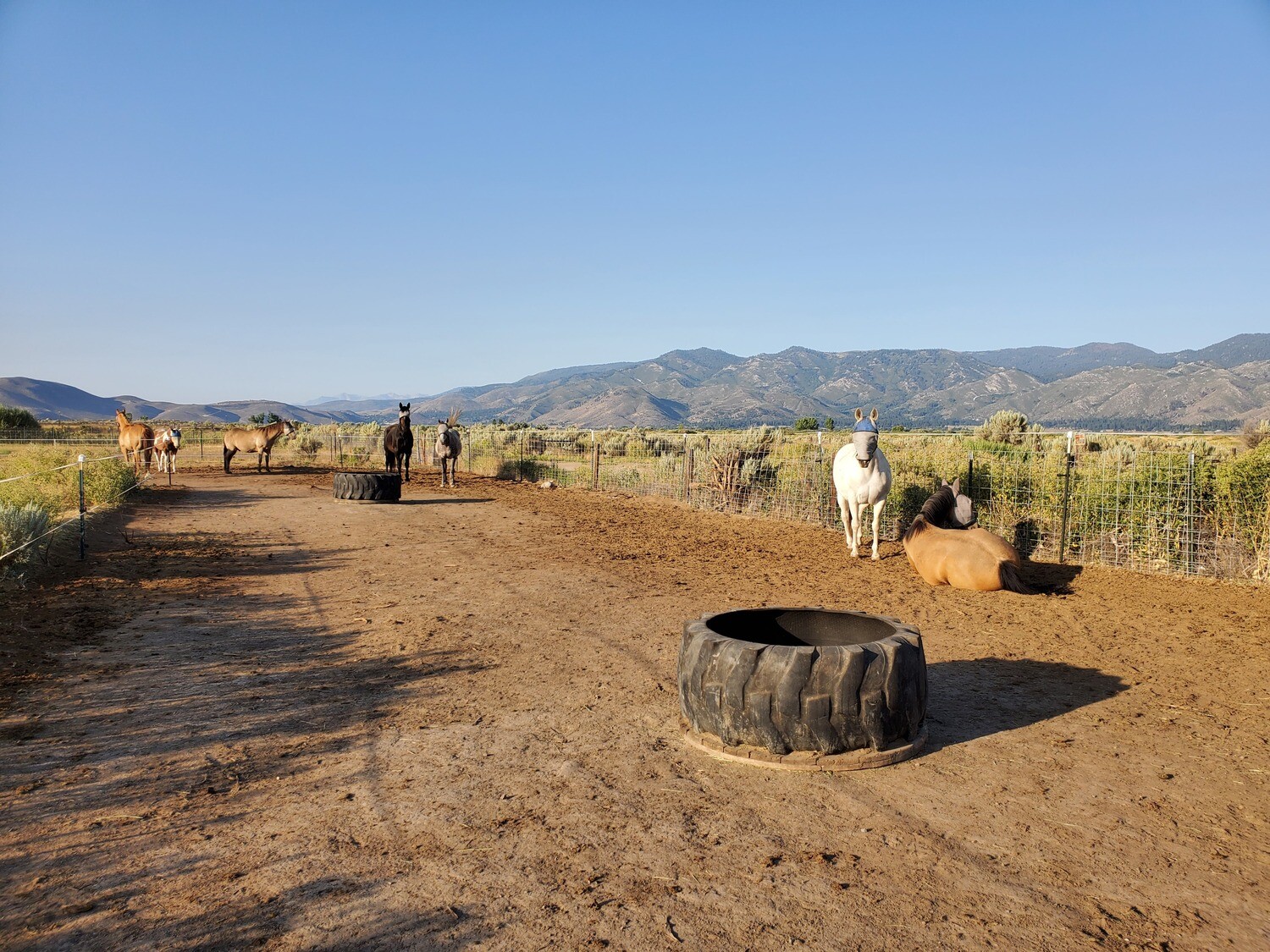 NHC 4: Running a NHC Business