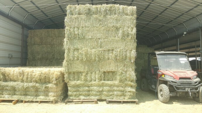 BUS 1: Starting a Business