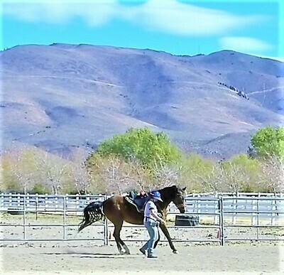 HHE2 Horse-Human-ship