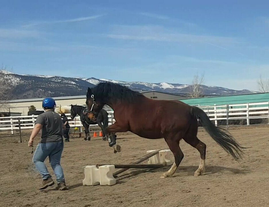 HHS 7: Using SBT Methods - Ground Work and Games