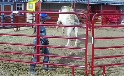 HHS 9: Addressing Behavioral Issues