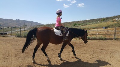 HHE2 Interpersonal Skills