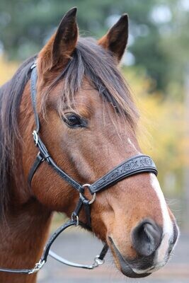 Bridles