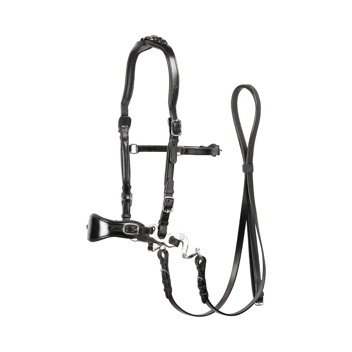 Hack-Q Bridle