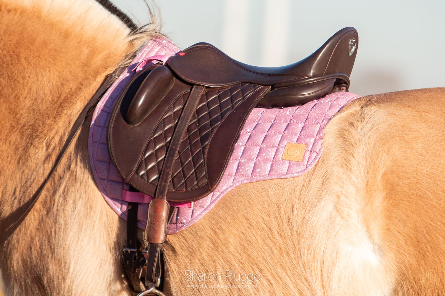 Cotton Dressage 8 Pocket Pad - Glitter