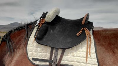 Treeless Saddle Fitting Courses