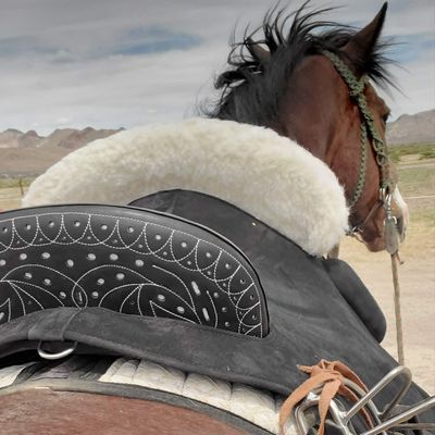 Saddles