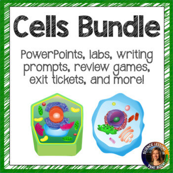Cells Bundle