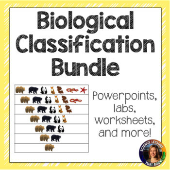 Classification and Taxonomy Bundle