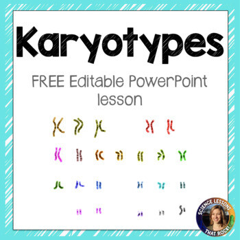 Karyotypes Powerpoint