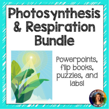 Photosynthesis and Respiration Bundle Photosynthesis and Respiration Bundle