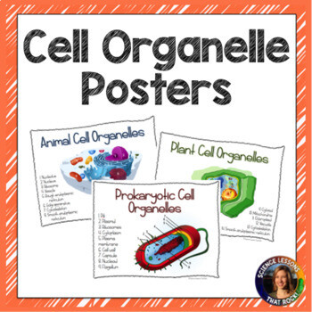 Cell Organelle Posters