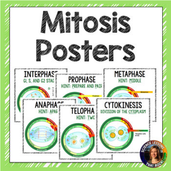 Mitosis Posters
