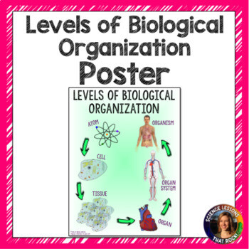 Levels of Biological Organization Poster