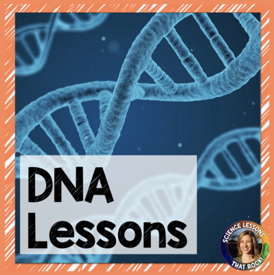 DNA and Protein Synthesis Lessons